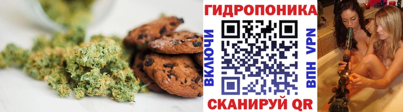 цена   Усмань  Cannafood конопля 