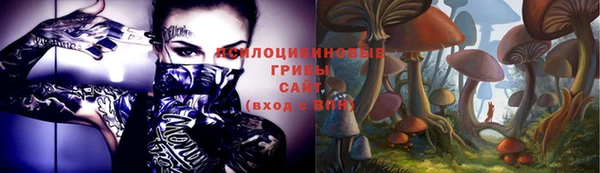 дживик Дмитровск