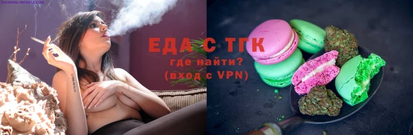 spice Дмитриев