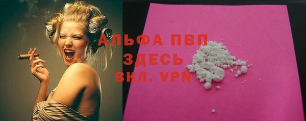 spice Дмитриев