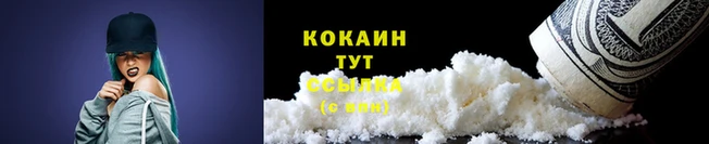 дживик Дмитровск