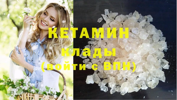 spice Дмитриев