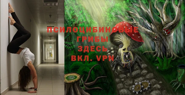 дживик Дмитровск