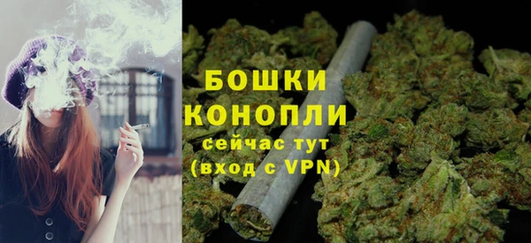 сатива Дмитров