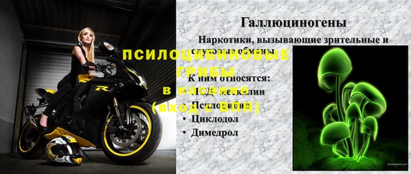 сатива Дмитров