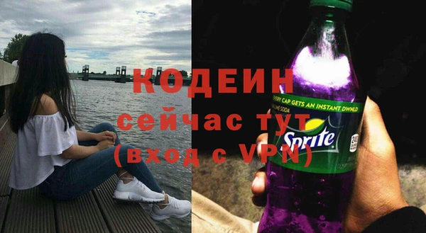 spice Дмитриев
