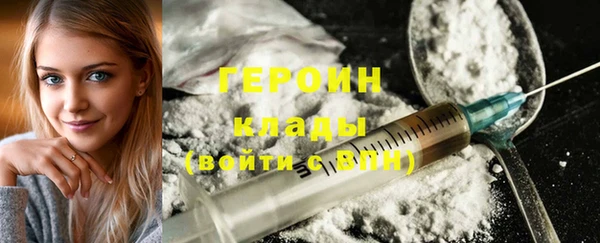 spice Дмитриев