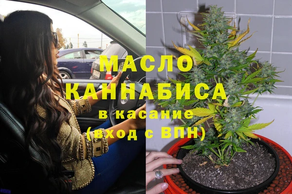 сатива Дмитров