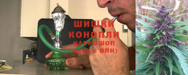 spice Дмитриев