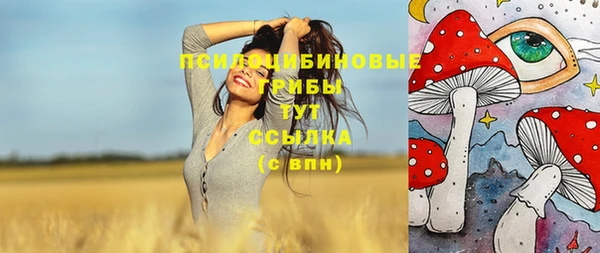 сатива Дмитров