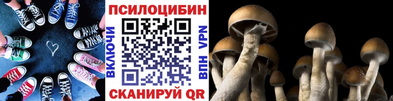 Псилоцибиновые грибы мицелий  Усмань 