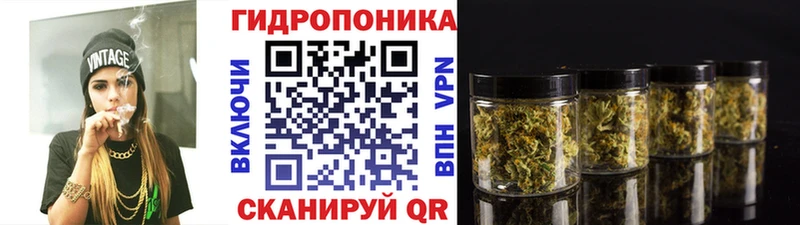 купить наркотики цена  Усмань  мега ТОР  Шишки марихуана индика 